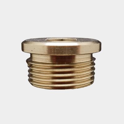 OEM 사용자 지정 비 표준 구리 나사 플러그 견과류 CNC 회전 톱니 정밀 가공 부품 서비스